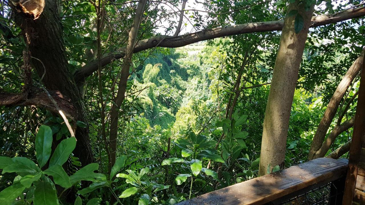 Le Lodge Origin Sainte-Suzanne Luaran gambar